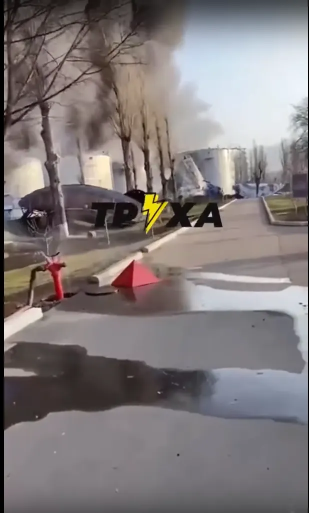 Geospatial Analysis of Thermal Anomalies Using NASA FIRMS - Section image